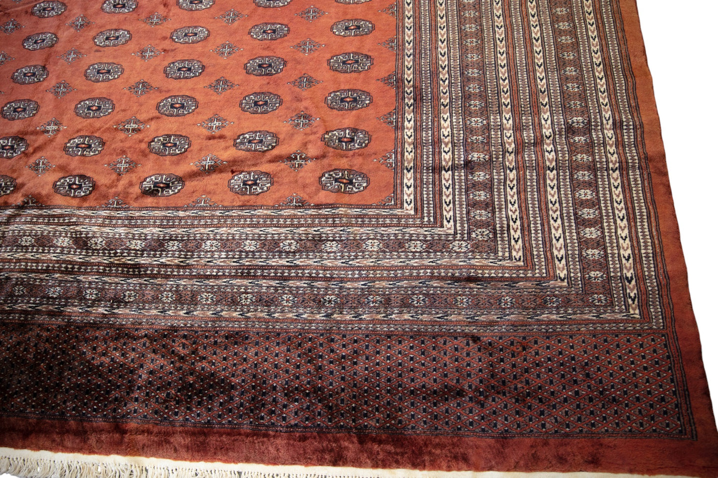 Pakistan Bokhara Rug