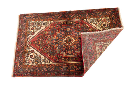 Iranian Hamedan Rug