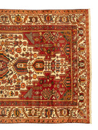 Iranian Bakhtiar Rug