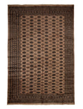 Pakistan Bokhara Rug