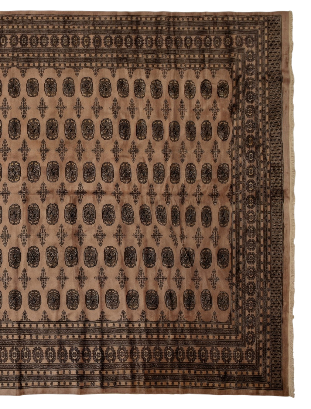 Pakistan Bokhara Rug