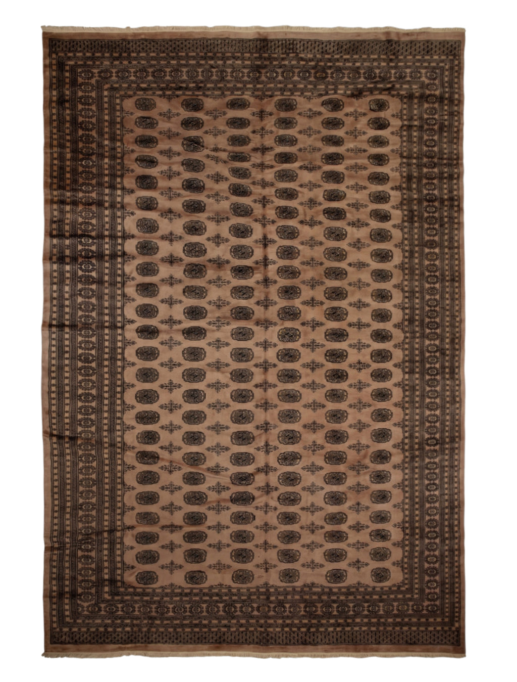Pakistan Bokhara Rug