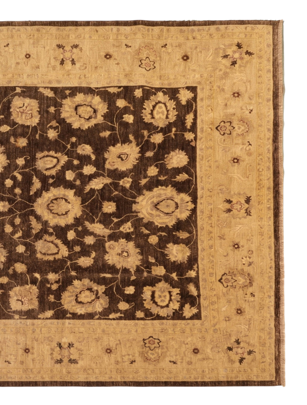 Pakistan Chubi Rug