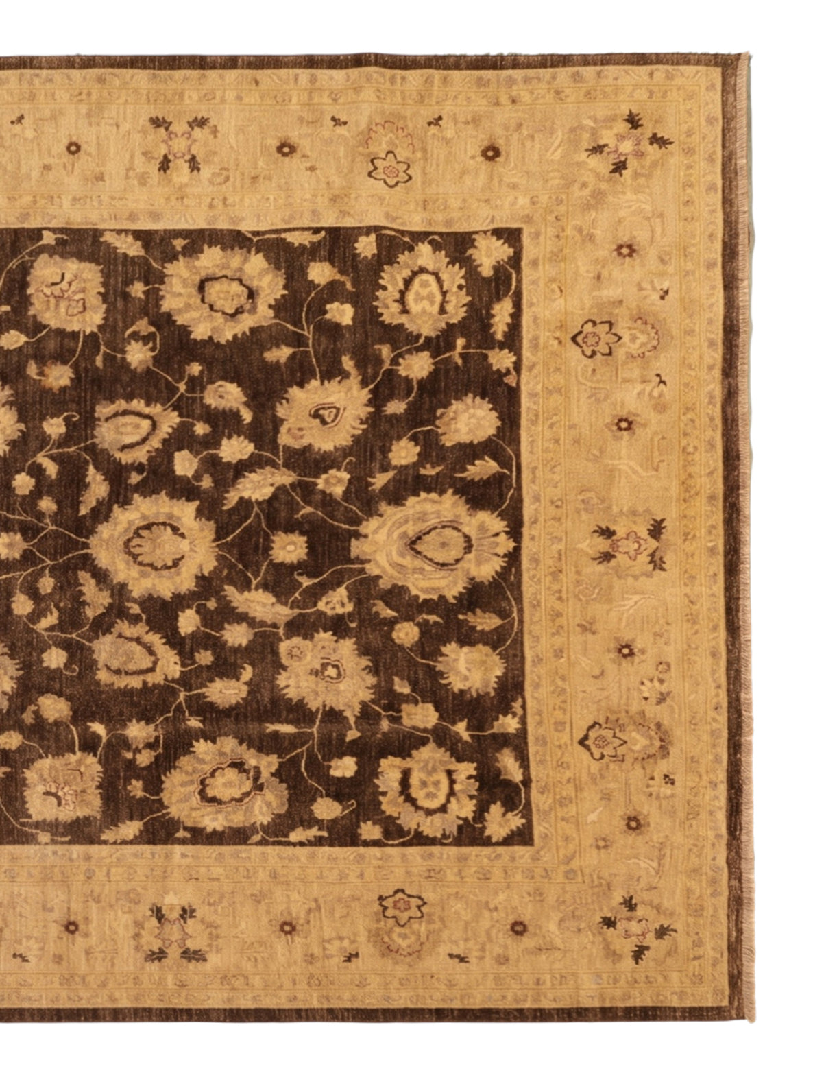Pakistan Chubi Rug