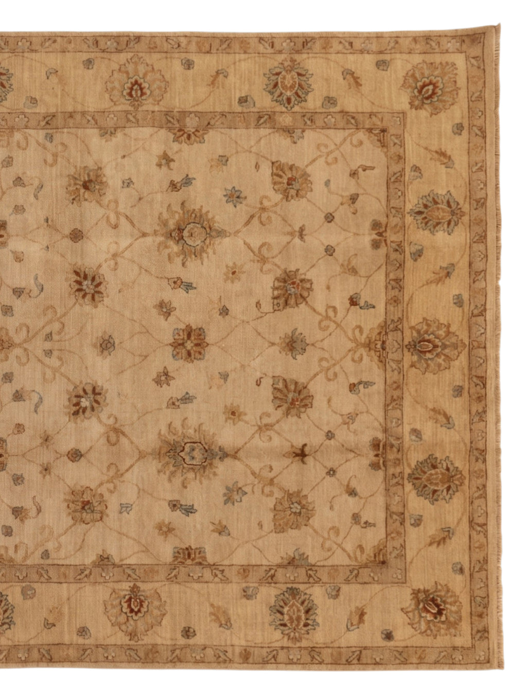 Pakistan Chubi Rug