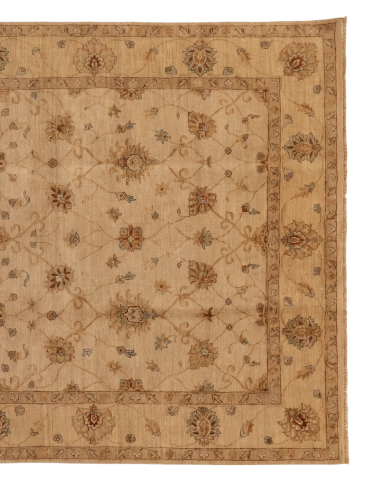 Pakistan Chubi Rug