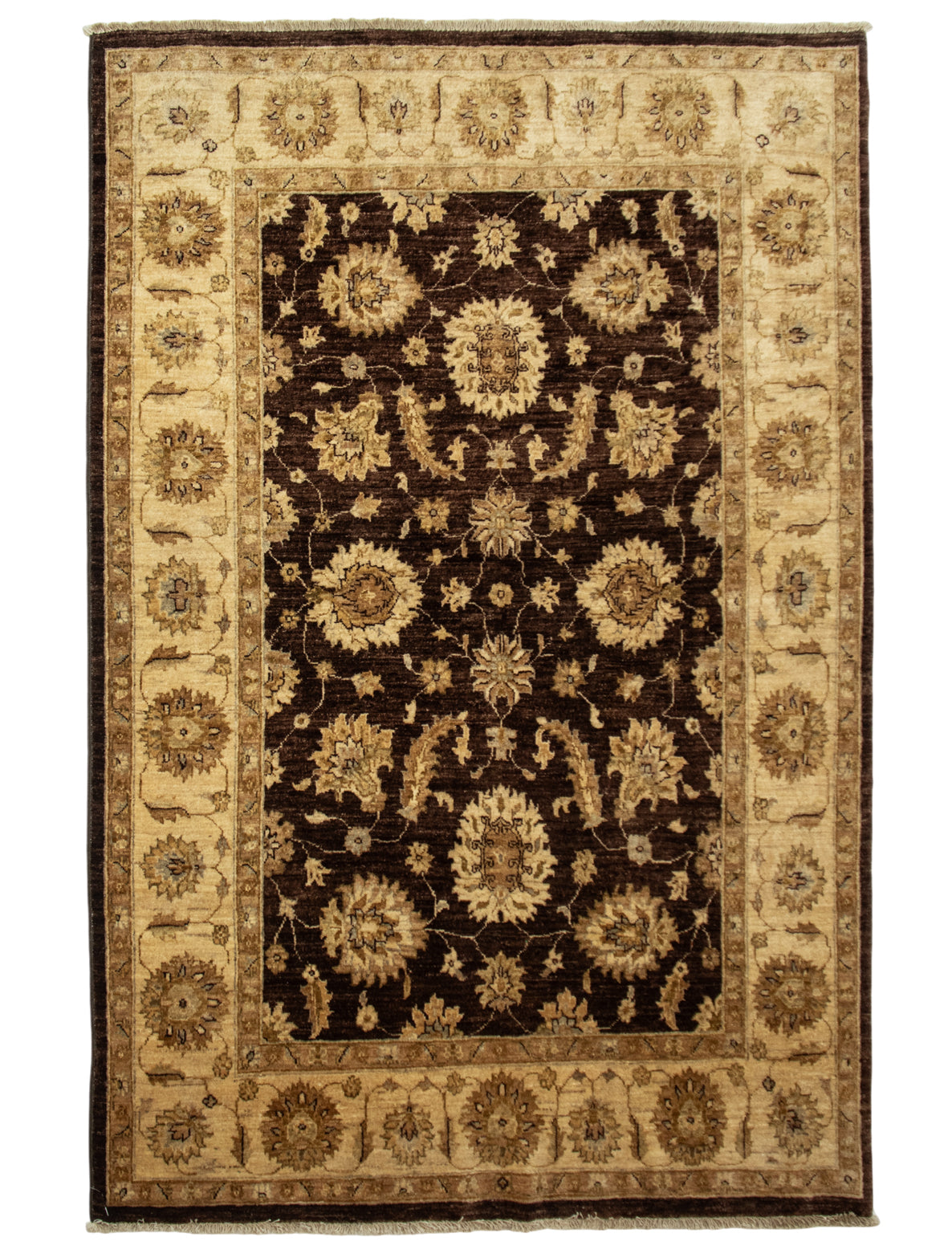 Pakistan Chubi Rug
