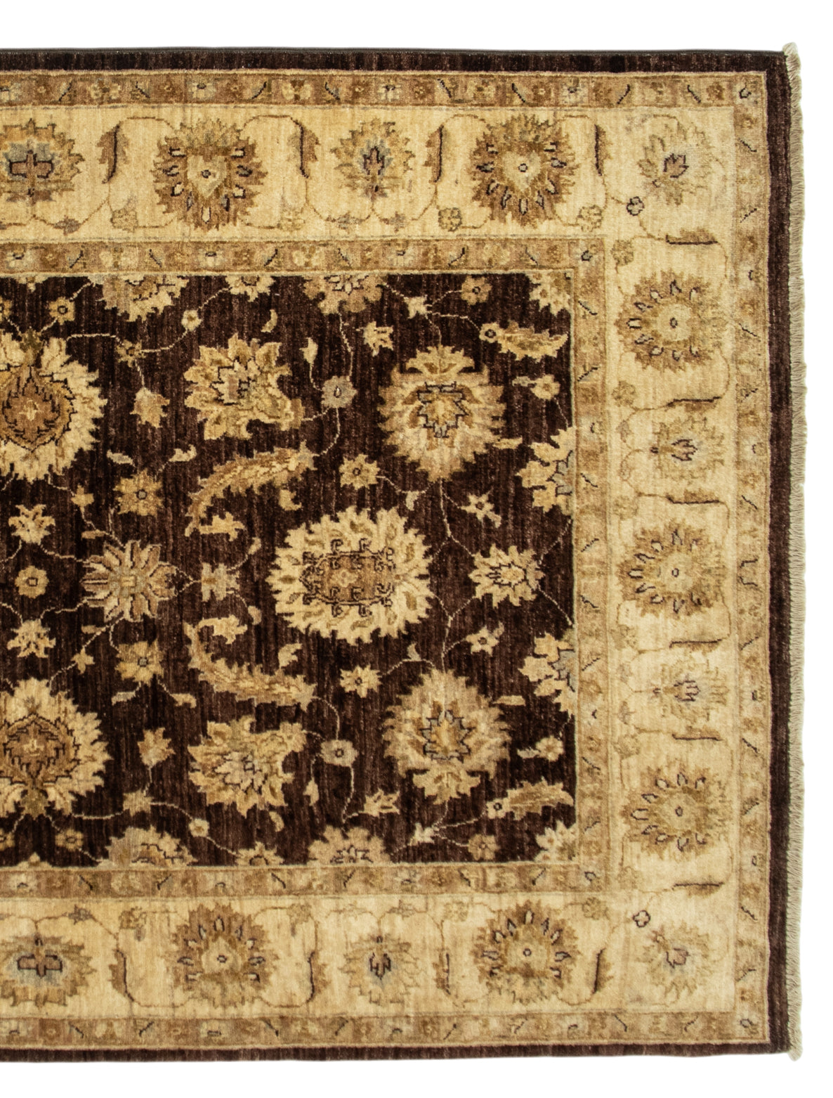 Pakistan Chubi Rug